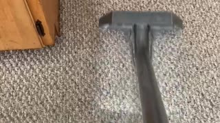 Nampa Carpet Cleaning