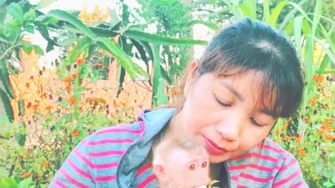 Cute monkey eating with his owner😁😁💟💟