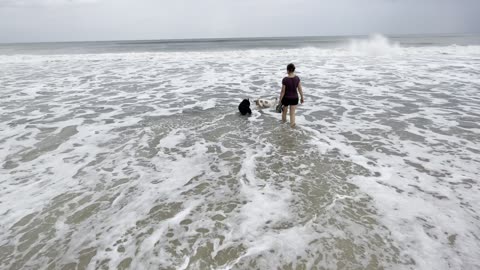 Walking Ponte Vedra Beach