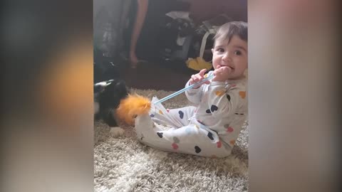 Cutest Babies Play With Dogs And Cats Compilation