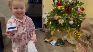 Toothpaste Stocking Stuffer Brings Toddler Happiness