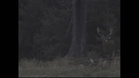 Roger Raglin Misses a Massive Whitetail Deer