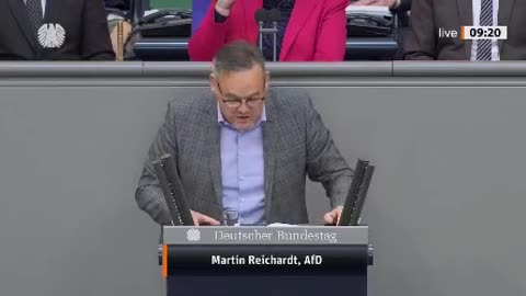 Martin Reichardt, AfD