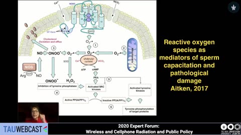 5G, Wireless Radiation and Health: A Scientific and Policy Update Presentation by Dr. Devra Davis