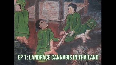 EP 1: Landrace Cannabis In Thailand