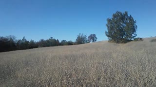 hiking trails in california