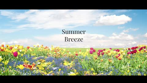 Summer Breeze - Seals & Croft