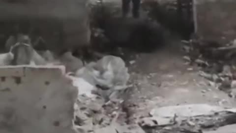 Short video shows Russian soldiers surrendering to Ukrainians
