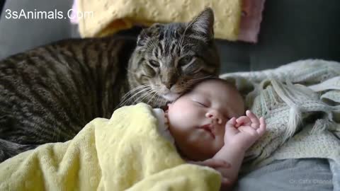 Cute babies steeping with cats
