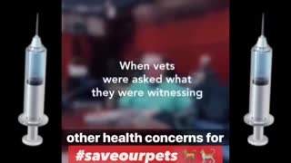 VETERINARIAN TESTIMONY PETS DYING FROM VACCINE