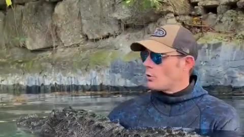 Man explains why this alligator won't kill him