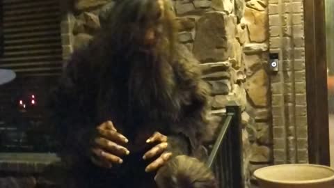 Bigfoot sighting giving out trick or treat candy