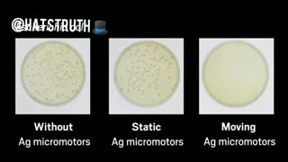 Graphene Oxide Micromotors and their movement.