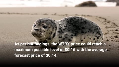 Wrapped TRON Price Prediction 2023, 2025, 2030 - Is WTRX a good investment