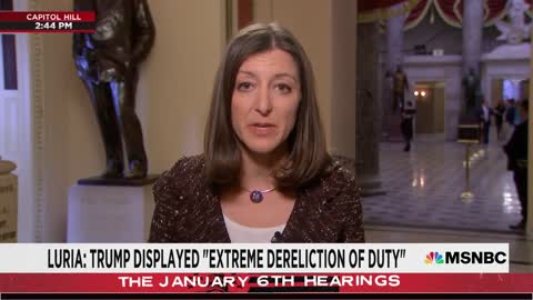 Rep. Luria On Criminal Referrals: 'The President Had A Duty To Act, He Didn't Do It'