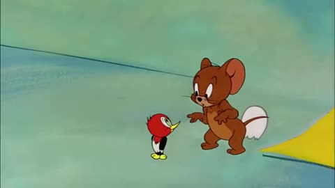 BEST CARTOONS OF ALL TIME | TOM & JERRY| FUNNY VEDIO