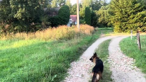 27- Všichni lidé jsou bratry a všichni budou zachráněni.