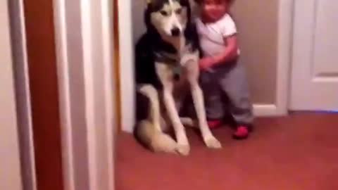 Baby scared of vacuun run to dog for protection