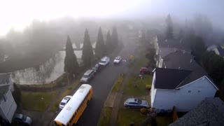 Foggy day in the neighborhood