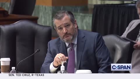 Senator Ted Cruz SLAMS Secretary Antony Blinken During Testimony On Afghanistan Withdrawal