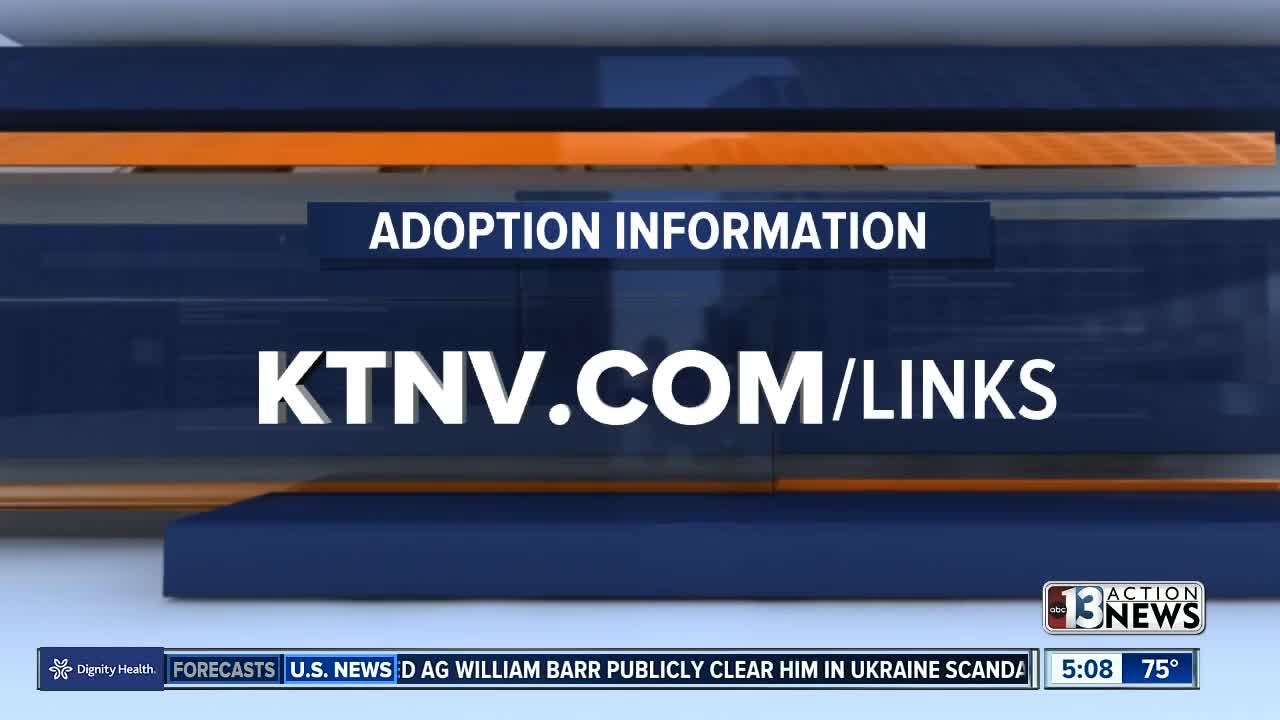 Clark County launches new effort to help kids get adopted
