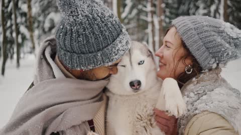 Dog getting lots of kisses