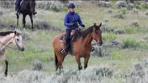 Wyoming Spring - a Day in the Life