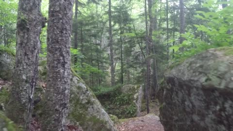 Valley Trail, Acadia National Park, July 2018