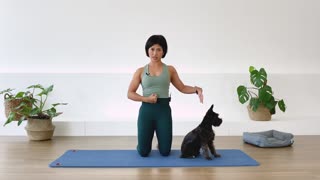 Core Workout - Pilates for Beginners