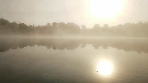 Sunrise under the birdsong