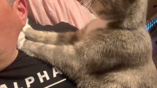 Kitty Kneads Human