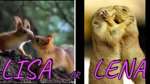 LISA OR LENA💖🥰|#14 ( CUTE ANIMALS 😍