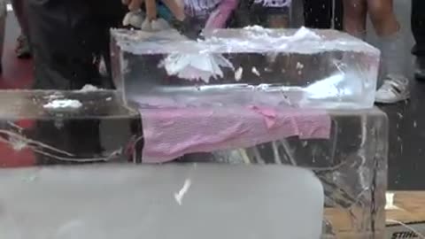 Ice sculptures by Japanese artisans