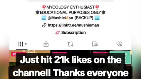 TikTok Channel Hits 21k Likes! 🍄💚