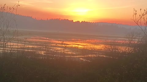 Beautiful sunset Coquille, Oregon