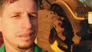 Man Makes a Friend with Beautiful Sparrow