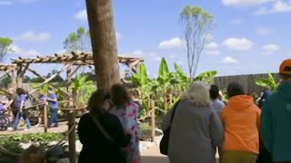 You Can Visit a Life-Size Noah's Ark in Kentucky