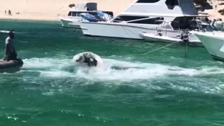 Runaway Boat Struggles to Be Caught