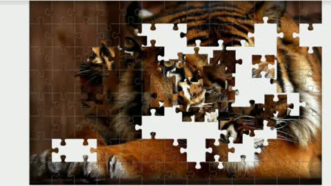 Puzzle. Lying Tiger.