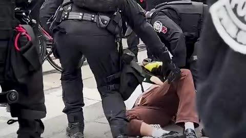 Canadian police attack pro-Palestine demonstrators at Toronto protest