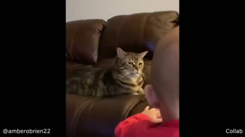 Cat Gets Annoyed byBaby
