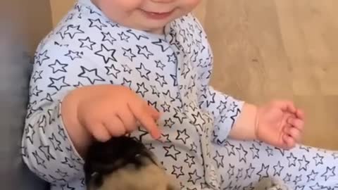 cutest video. The video is so cute