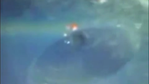 ufo filmed from a passenger plane