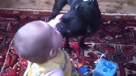 baby playing with the cute dog