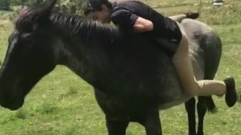 How not to ride a horse