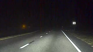 Self Driving Car Swerves to Save Bunny