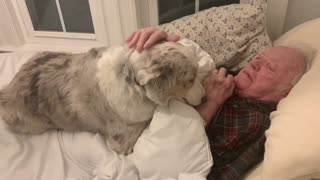 Caring Dog Comforts Grandpa