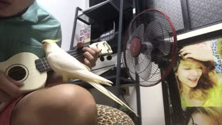 Bird Joins in for Delightful Duet