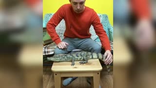 Artist Accepts Live Crocodile As Payment For Painting