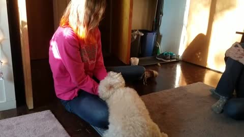 Girl and her dog reunite after being apart for weeks